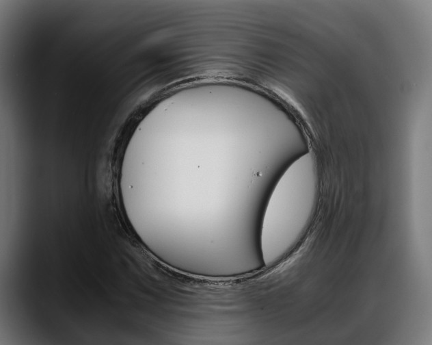 X0000088661067200705250957
