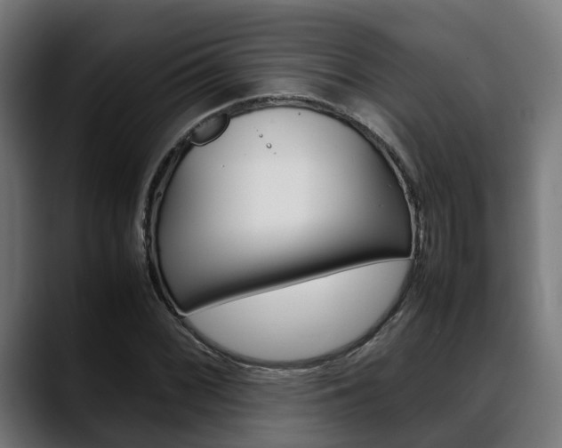 X0000088661068200705250957