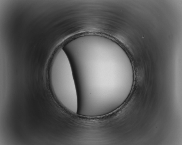 X0000088661070200705250957