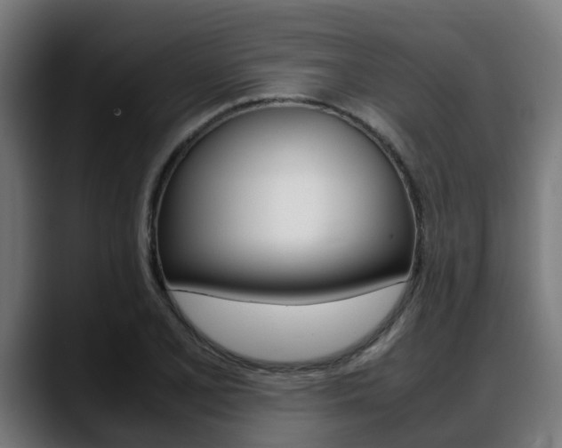 X0000088661077200705250957