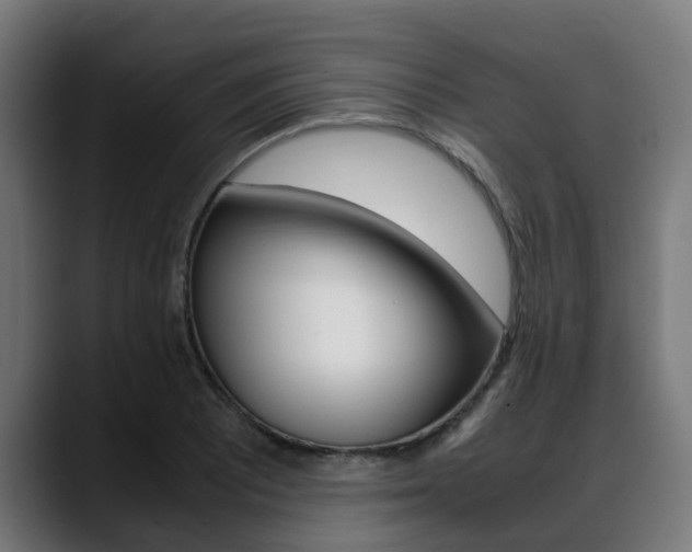 X0000088661081200705250957