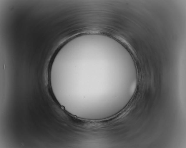 X0000088661083200705250957
