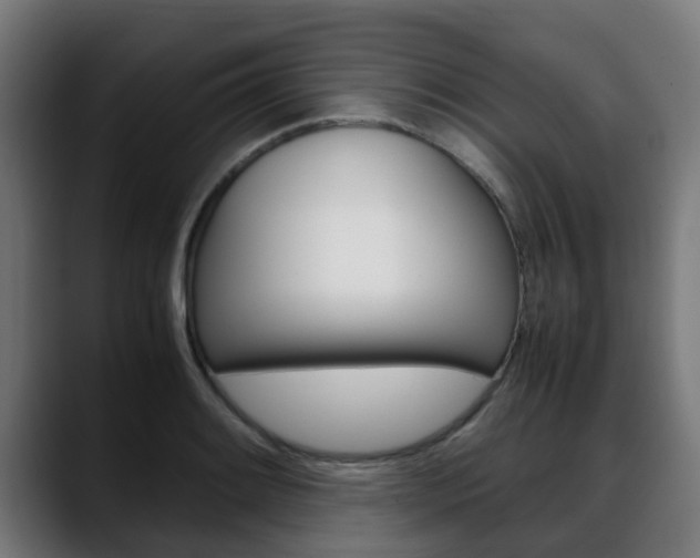 X0000088661084200705250957
