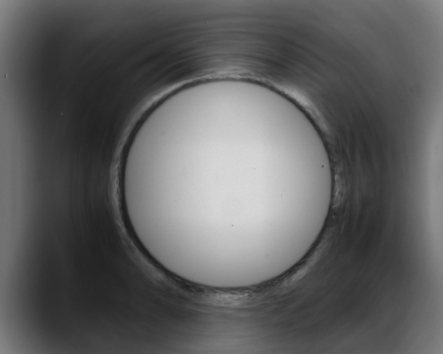 X0000088661086200705250957