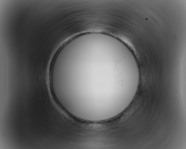 X0000088661088200705250957