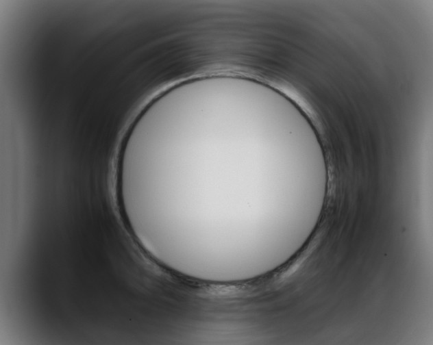 X0000088661094200705250957