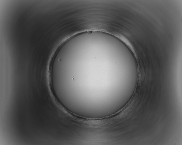 X0000088661096200705250957