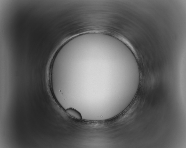 X0000088661099200705250957