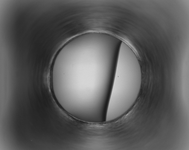 X0000088661100200705250957