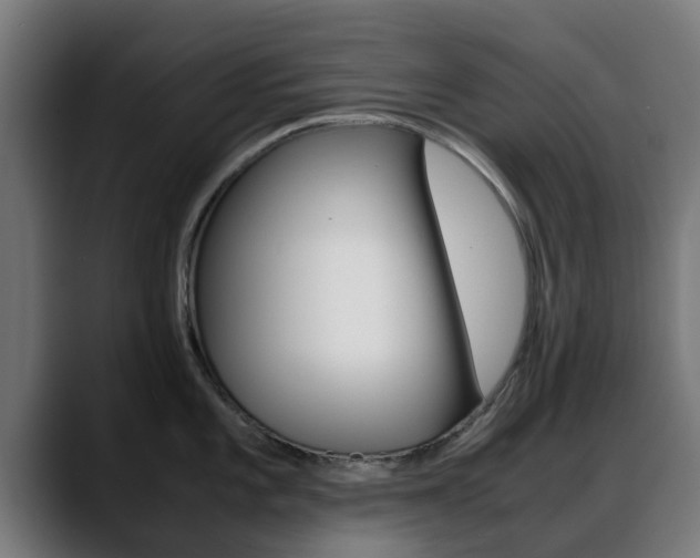 X0000088661101200705250957