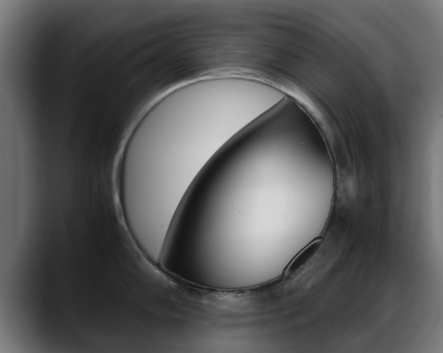 X0000088661102200705250957