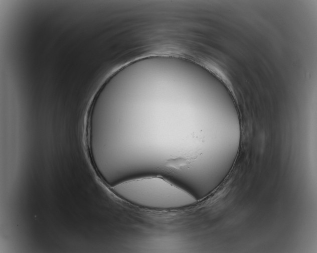 X0000088661103200705250957