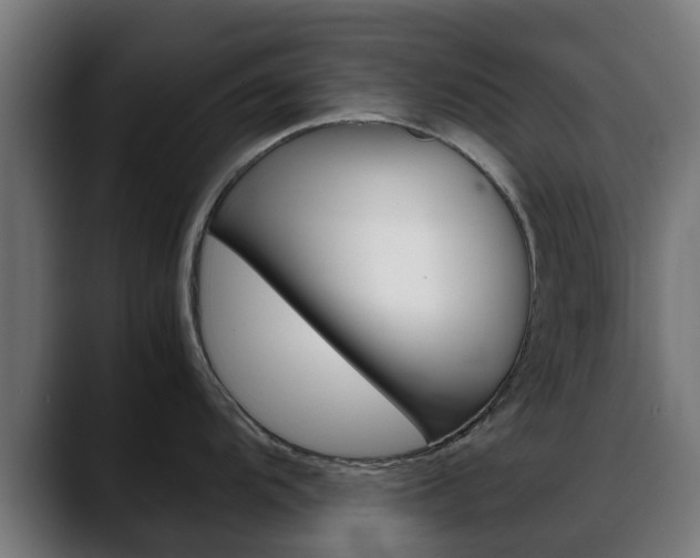 X0000088661104200705250957