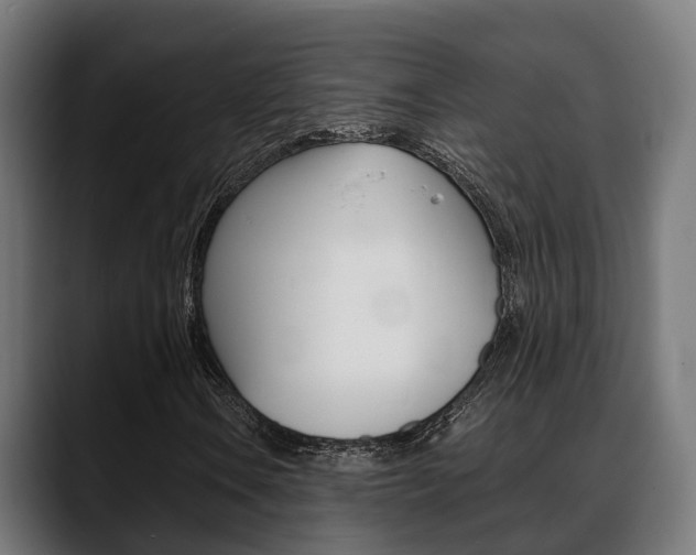 X0000088661106200705250956