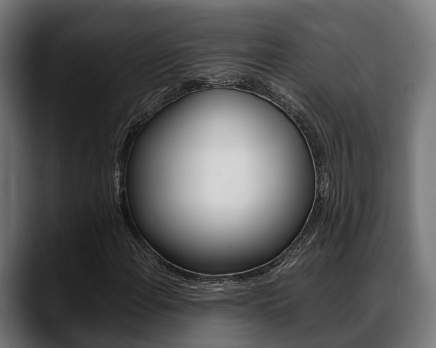 X0000088661108200705250956