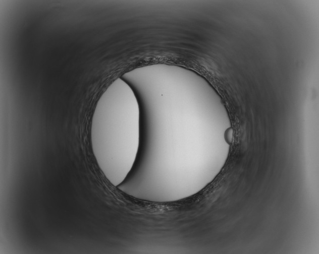 X0000088661109200705250956