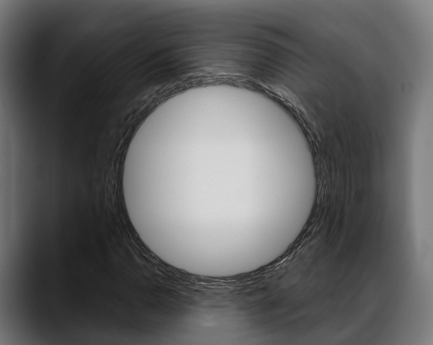 X0000088661110200705250956