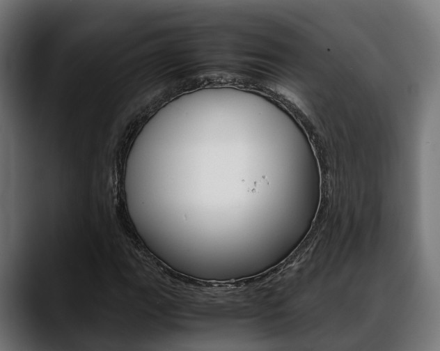 X0000088661111200705250956