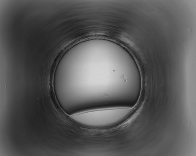 X0000088661113200705250956