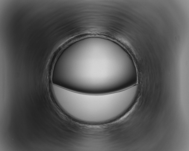 X0000088661114200705250956