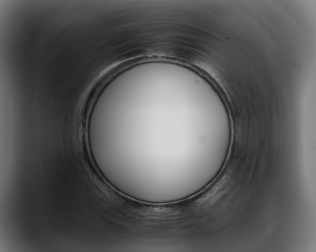 X0000088661115200705250956