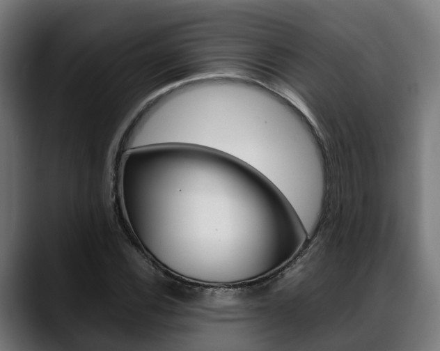 X0000088661116200705250956