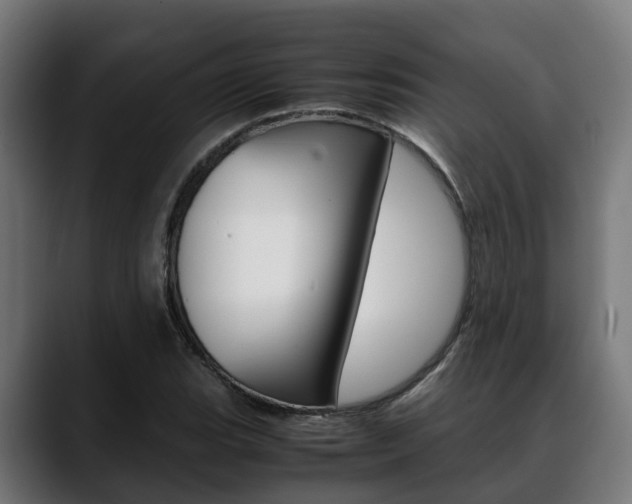X0000088661119200705250956