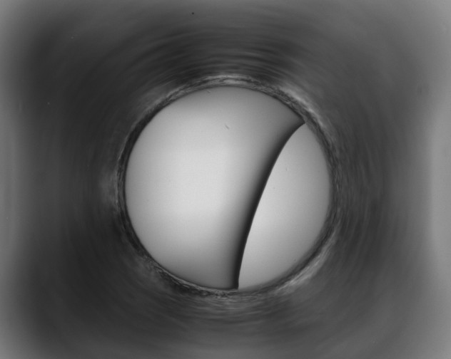 X0000088661121200705250956