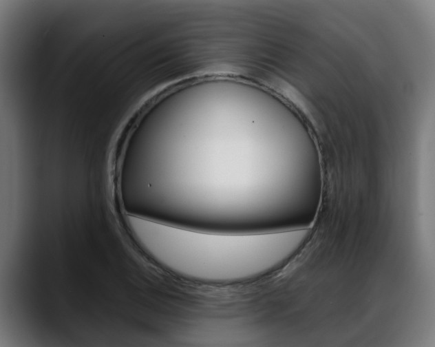 X0000088661124200705250956