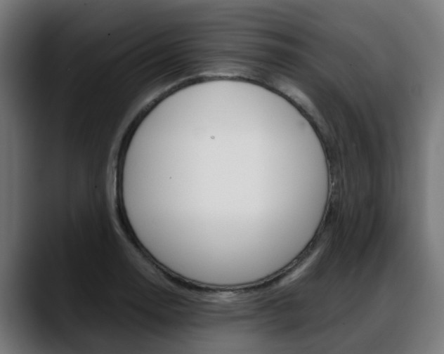 X0000088661130200705250956