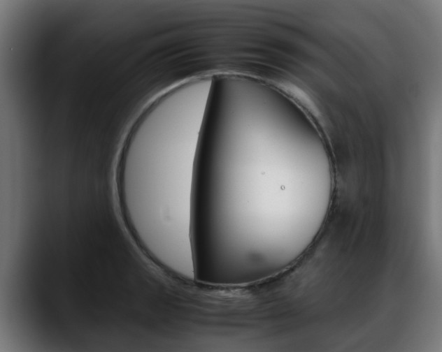 X0000088661133200705250956