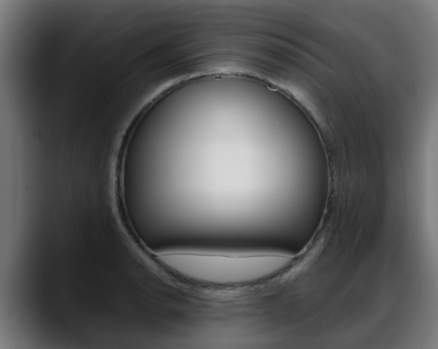 X0000088661134200705250956