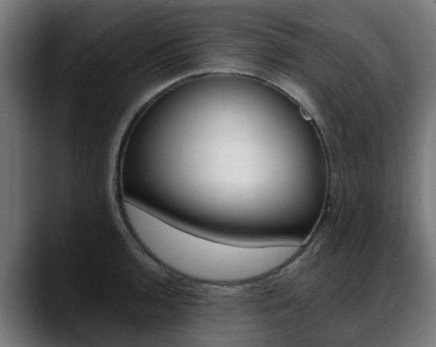 X0000088661136200705250956
