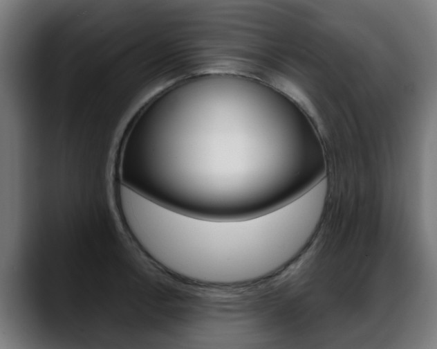 X0000088661138200705250956