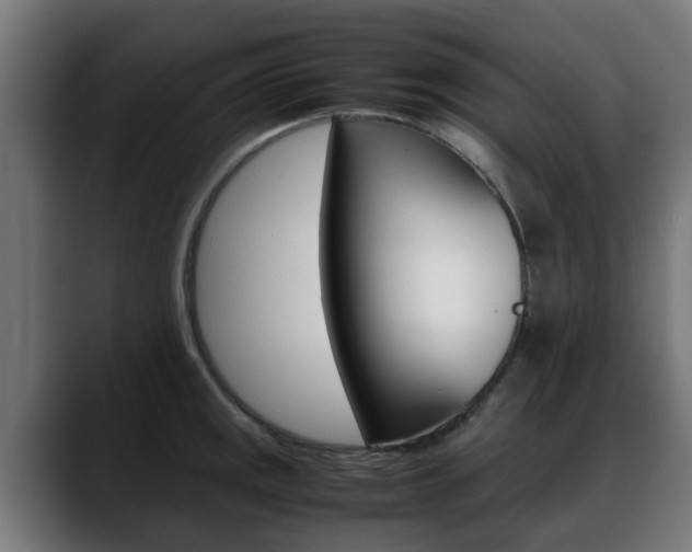 X0000088661141200705250956