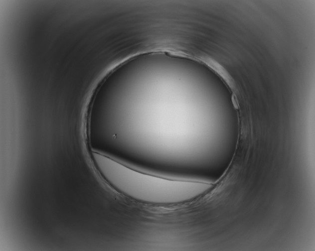 X0000088661144200705250957