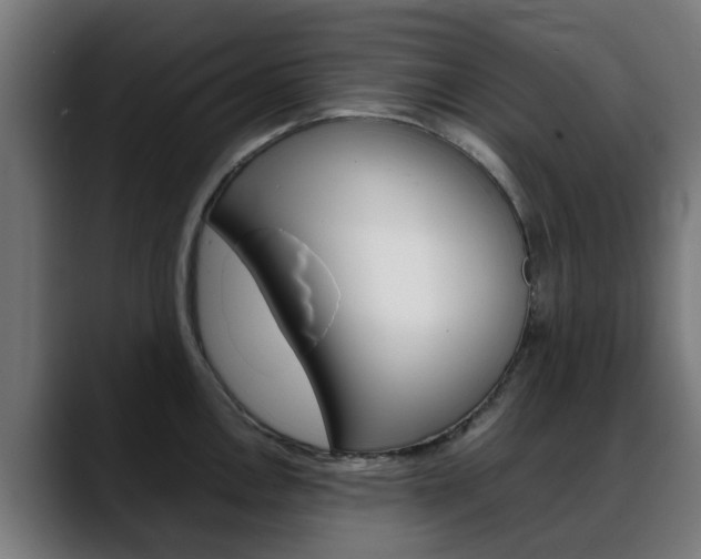 X0000088661146200705250957