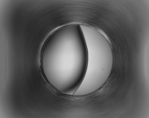 X0000088661148200705250957
