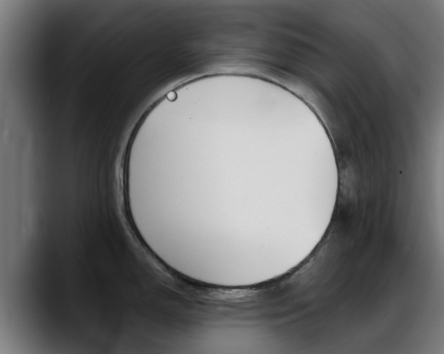 X0000088661150200705250957