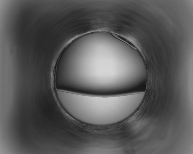 X0000088661151200705250957