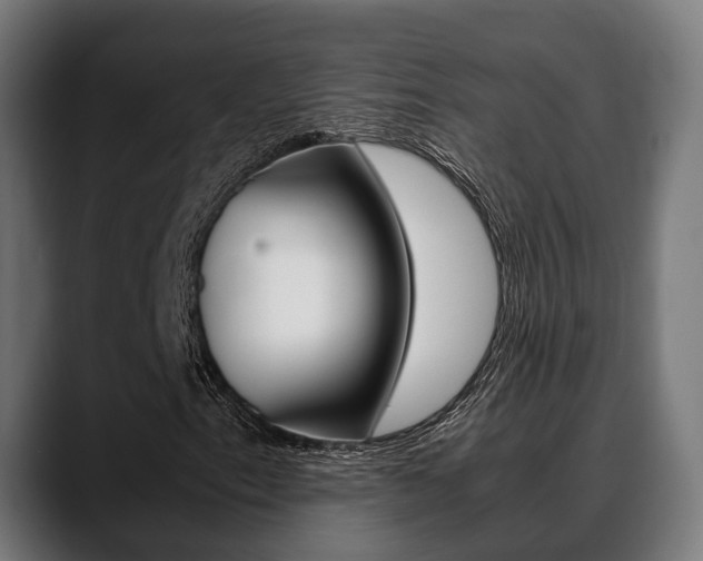X0000088661153200705250956