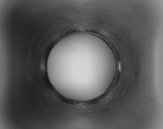 X0000088661155200705250956
