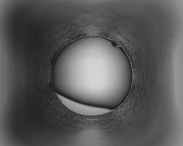 X0000088661157200705250956