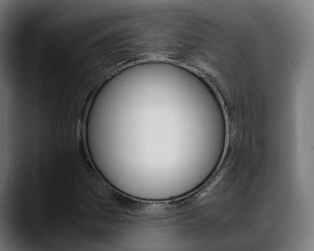 X0000088661161200705250956