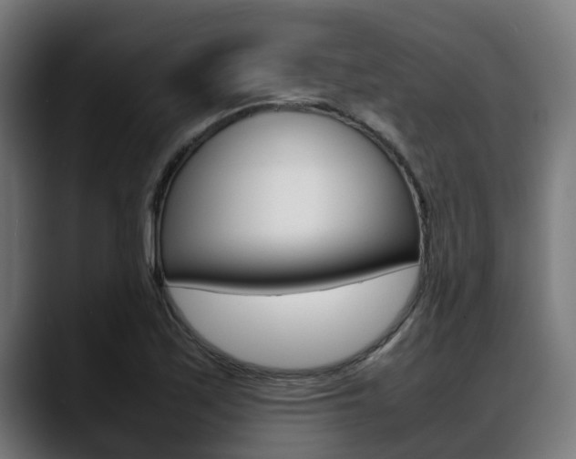 X0000088661171200705250956