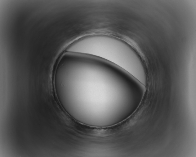 X0000088661176200705250956