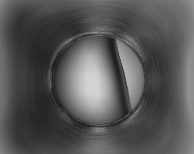 X0000088661180200705250956