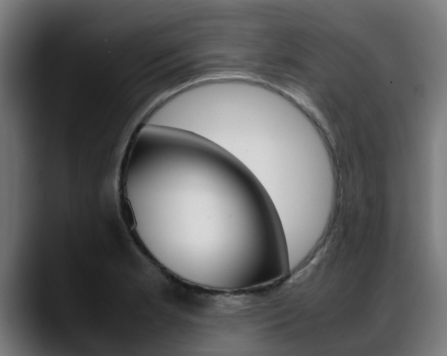 X0000088661181200705250956
