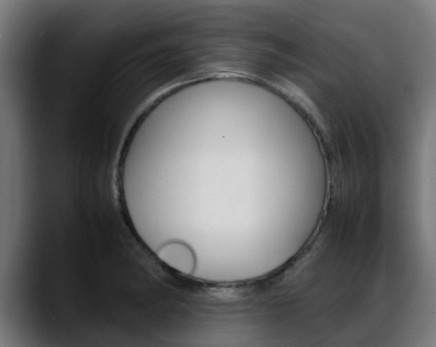 X0000088661182200705250956
