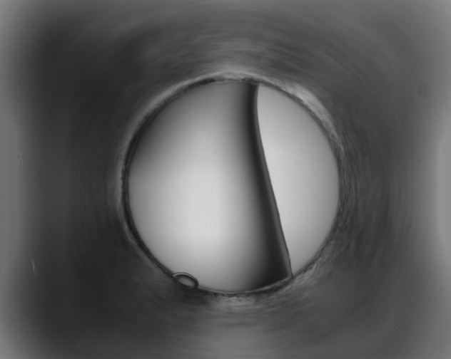 X0000088661183200705250956
